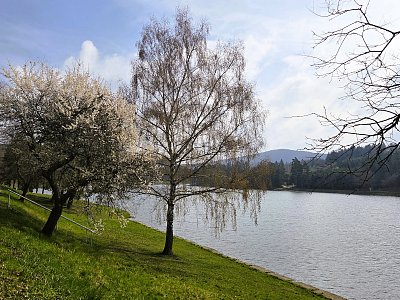 20260401-101350.jpg