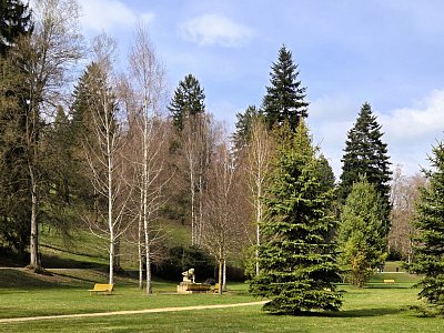 20260401-143835.jpg