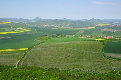 21-zahrada-cech.jpg