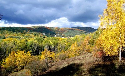 Pohled na středohorské panorama od Bílé stráně *