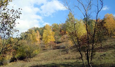 23.-dsc01067.jpg