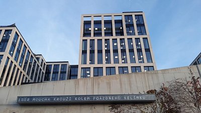24-235.jpg