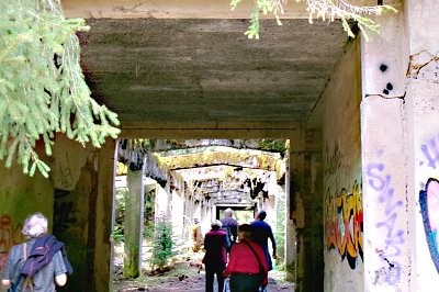 245-1389.jpg