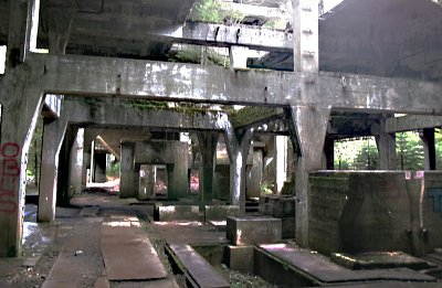 245-1410.jpg