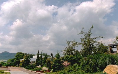 245-2470.jpg
