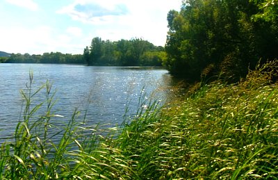 245-2646.jpg