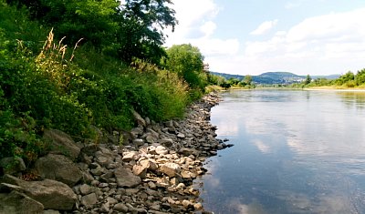 245-2762.jpg