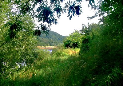 245-2779.jpg