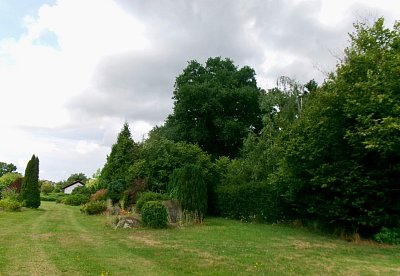 245-3017.jpg