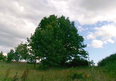 245-3040.jpg