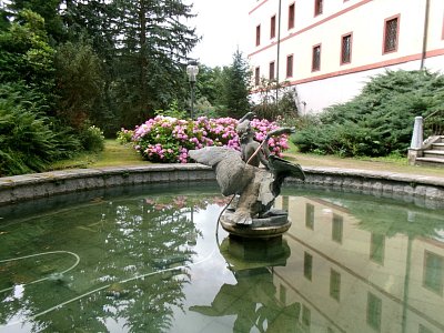 245-3104.jpg