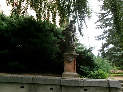 245-3109.jpg