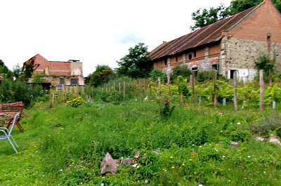 245-3162.jpg