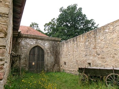 245-3178.jpg
