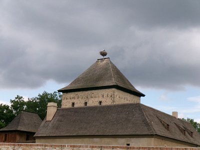 245-3224-1.jpg