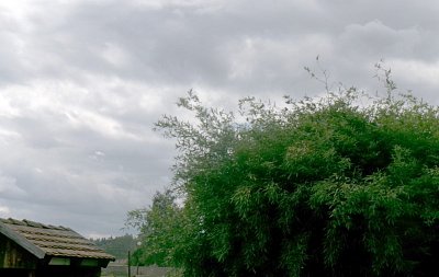 245-3253.jpg