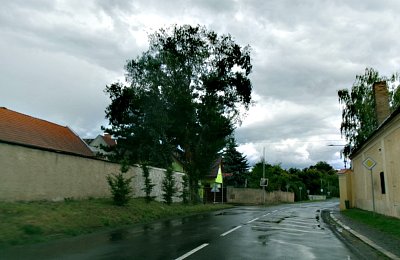 245-3592.jpg