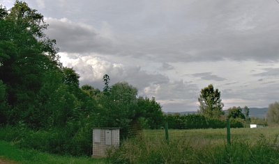 245-3628.jpg