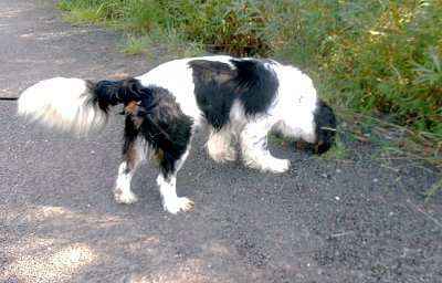 245-3757.jpg