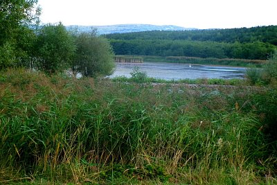 245-3829.jpg