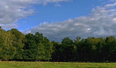 245-4120.jpg