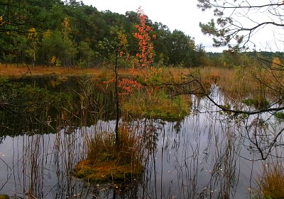 Je na co vzpomínat * foceno u Máchova jezera 11.10.25