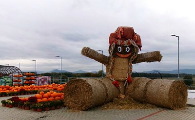 Tohle je všechno moje * Foceno 14.10.25 na Farmě v Dolánkách