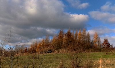 245-4778.jpg