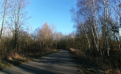 245-5124.jpg