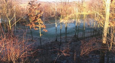 245-5197.jpg