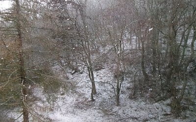 245-5222.jpg