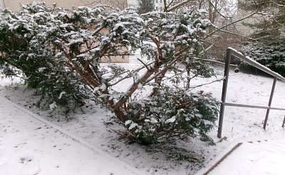 245-5230.jpg