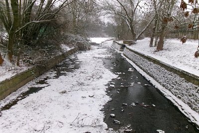 245-5243.jpg