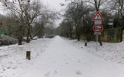 245-5245.jpg