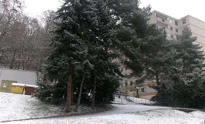 245-5261.jpg
