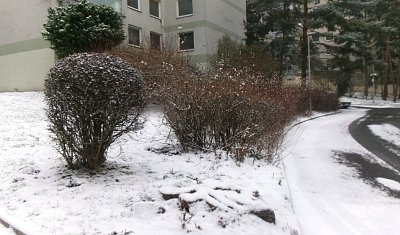 245-5271.jpg