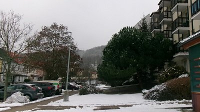245-5390.jpg