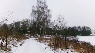 245-5402.jpg
