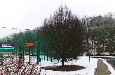 245-5421.jpg