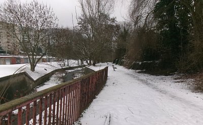 245-5423.jpg
