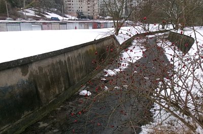 245-5424.jpg