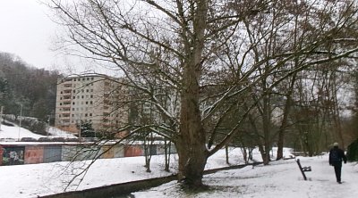 245-5428.jpg