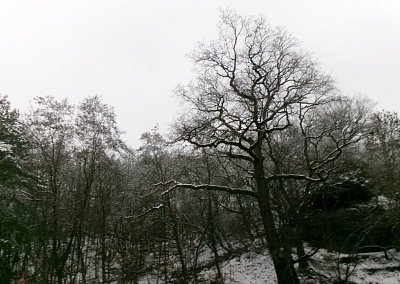 245-5448.jpg