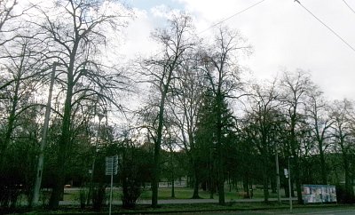 245-5462.jpg