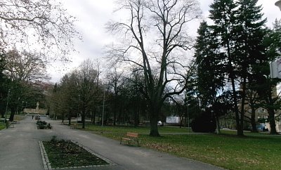 245-5464.jpg