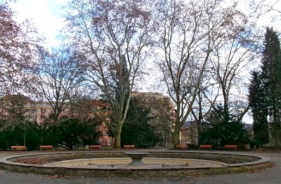245-5469.jpg