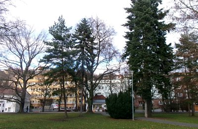 245-5471.jpg