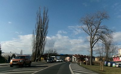 245-5535.jpg