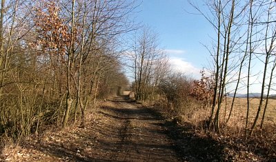 245-5609.jpg