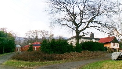 245-5766.jpg